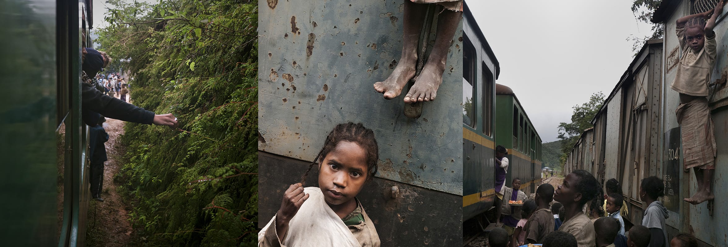 Tren de la selva